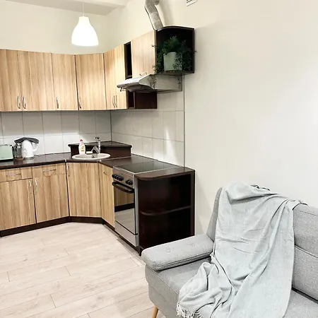 Homey Apartment Central Wilna Exterior foto